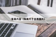 生肖六合（生肖六个合表图片）